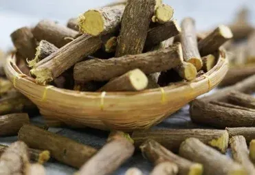Quiet Power: Alkaline Herbs for Everyday Gut Health Quiet Power: Alkaline Herbs for Everyday Gut Health