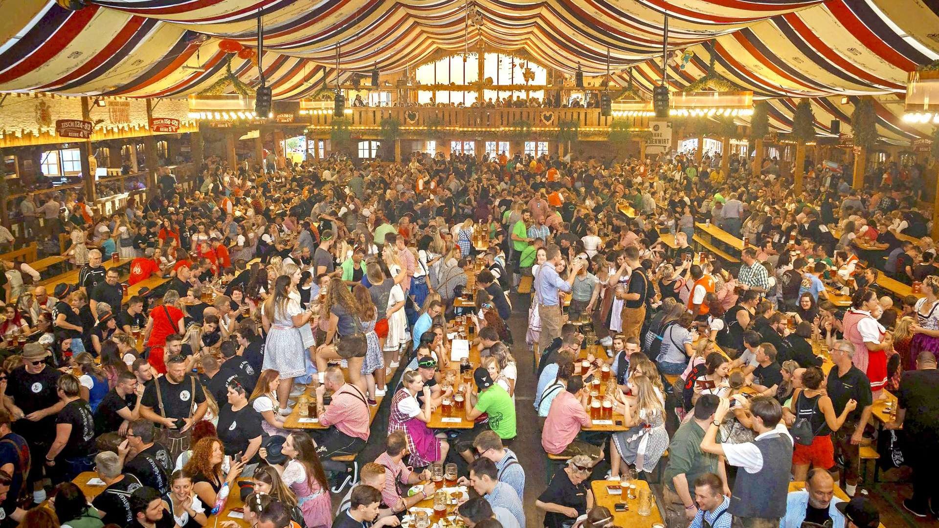Durable beer tables and benches for lively events Durable beer tables and benches for lively events