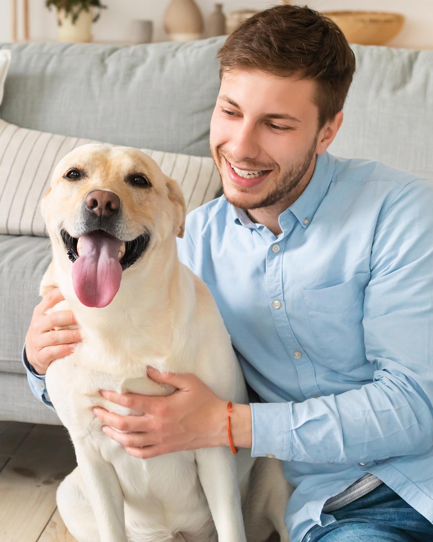 Find friendly feline meetups and smart dog dating tips Find friendly feline meetups and smart dog dating tips