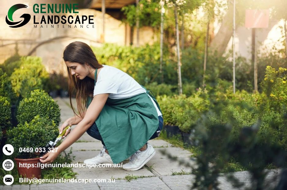 Practical Landscape Care for Sydney Homes Practical Landscape Care for Sydney Homes