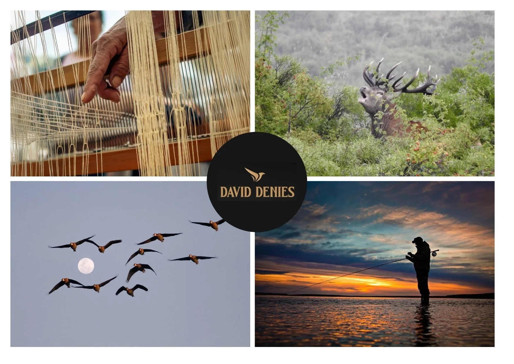 Best Dove Shooting in Uruguay for Premium Hunting Experiences Best Dove Shooting in Uruguay for Premium Hunting Experiences