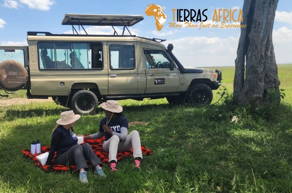 Big Five safari Kenya: Compare the Best Wildlife Tours with Tierras Africa Limited Big Five safari Kenya: Compare the Best Wildlife Tours with Tierras Africa Limited