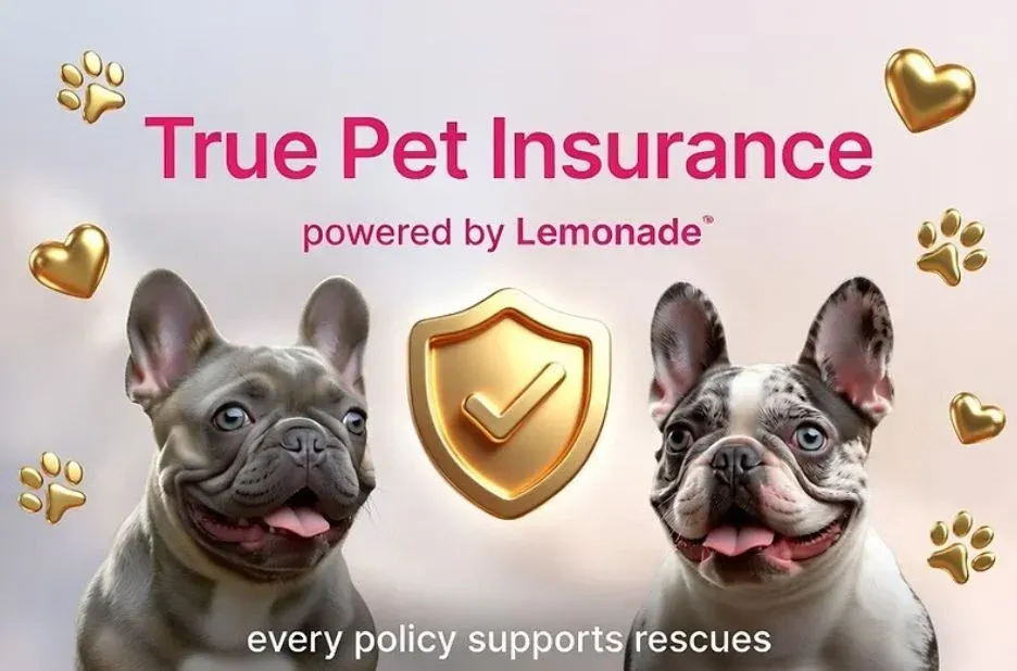 true panion pet insurance: Key benefits, coverage options, and how it helps pet owners true panion pet insurance: Key benefits, coverage options, and how it helps pet owners