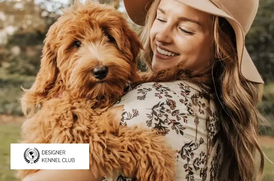 ckc Registration: Expert Guidance for Designer Kennel Club Membership ckc Registration: Expert Guidance for Designer Kennel Club Membership