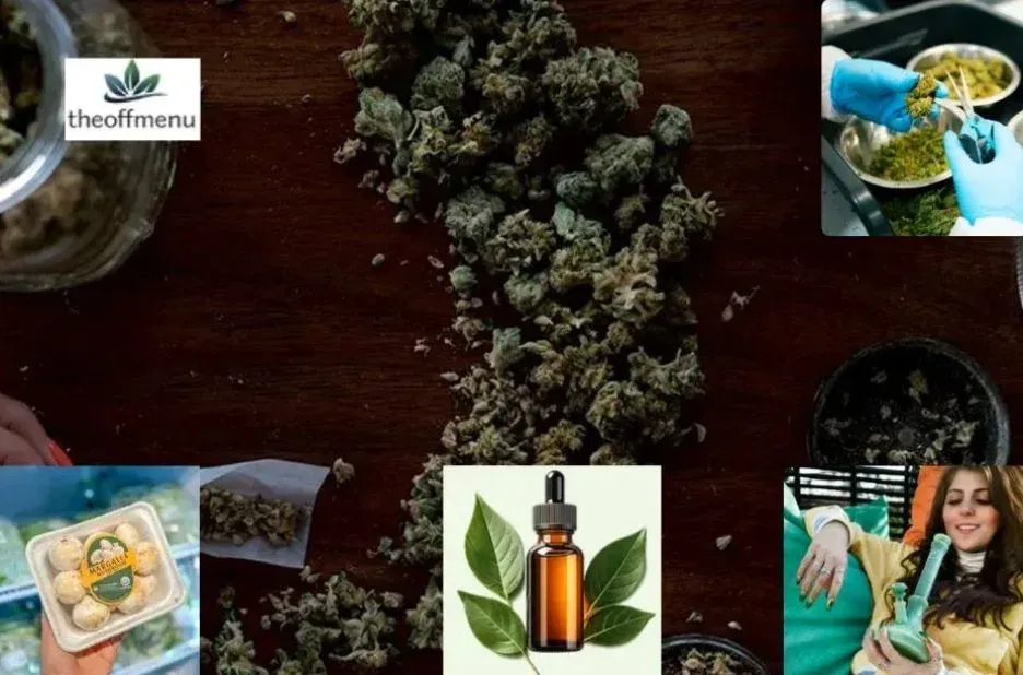 Buy Cannabis Online Canada: Secure Options and Trusted Platforms by Theoffmenu.co Buy Cannabis Online Canada: Secure Options and Trusted Platforms by Theoffmenu.co