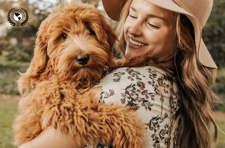 How to Get Papers for a Dog Without Papers: Step-by-Step Registration Guidance How to Get Papers for a Dog Without Papers: Step-by-Step Registration Guidance