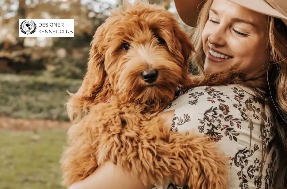 Dog Papers Explained: How to Verify Registration for Buyer Confidence Dog Papers Explained: How to Verify Registration for Buyer Confidence