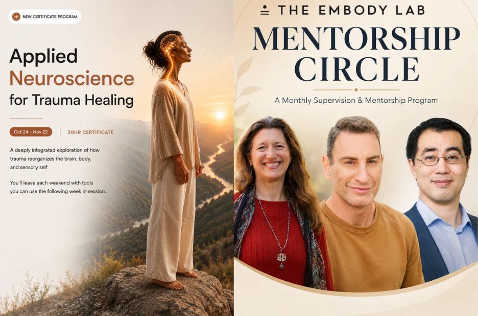 Elevate Your Practice with an Integrative Trauma-Focused Therapy Certification by The Embody Lab Elevate Your Practice with an Integrative Trauma-Focused Therapy Certification by The Embody Lab