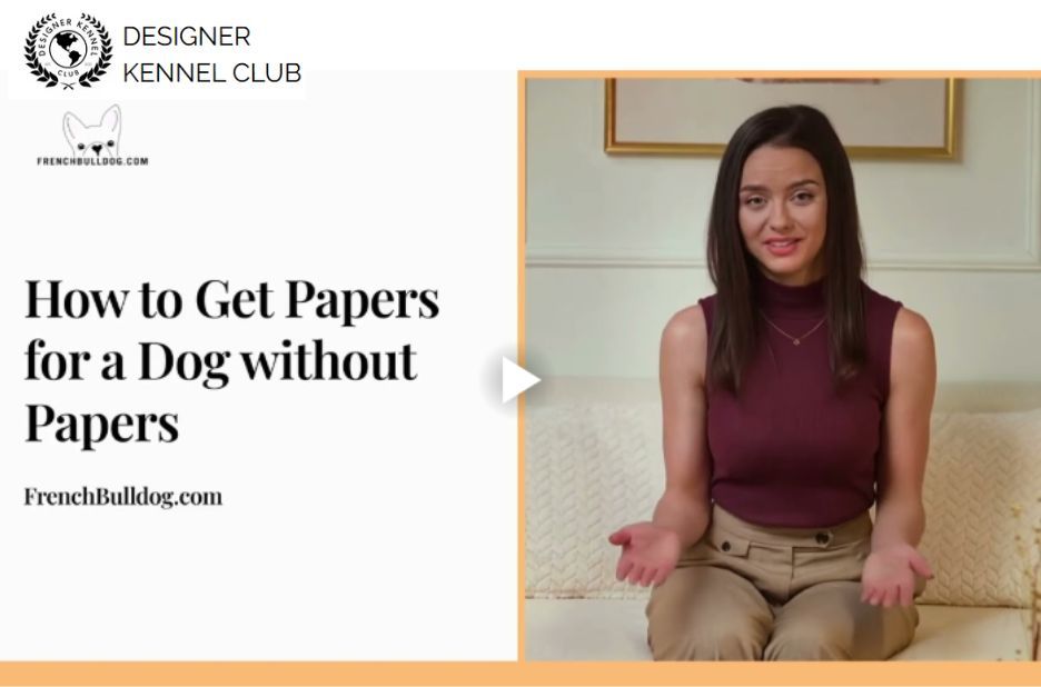 Get Legit Papers for Your Dog Without AKC Registration Get Legit Papers for Your Dog Without AKC Registration